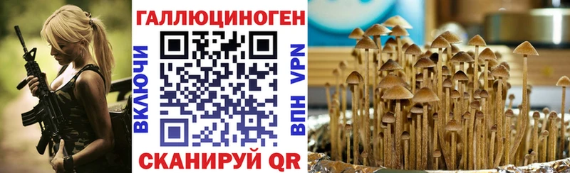 Галлюциногенные грибы ЛСД  это как зайти  Котельнич 