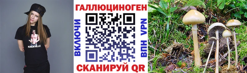 Псилоцибиновые грибы ЛСД Котельнич